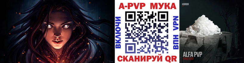 А ПВП СК  Курчалой 